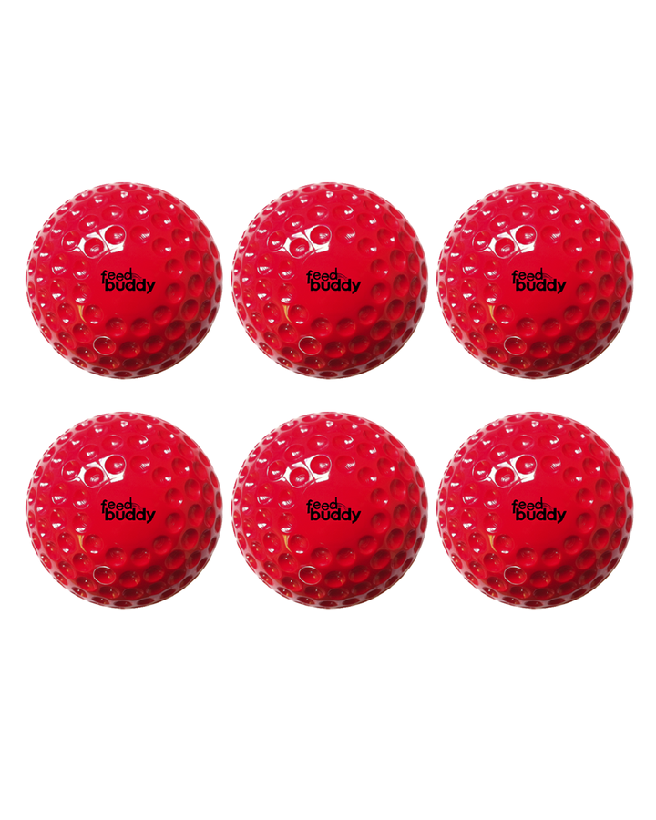 Feed Buddy Light Balls (Pack of 6)