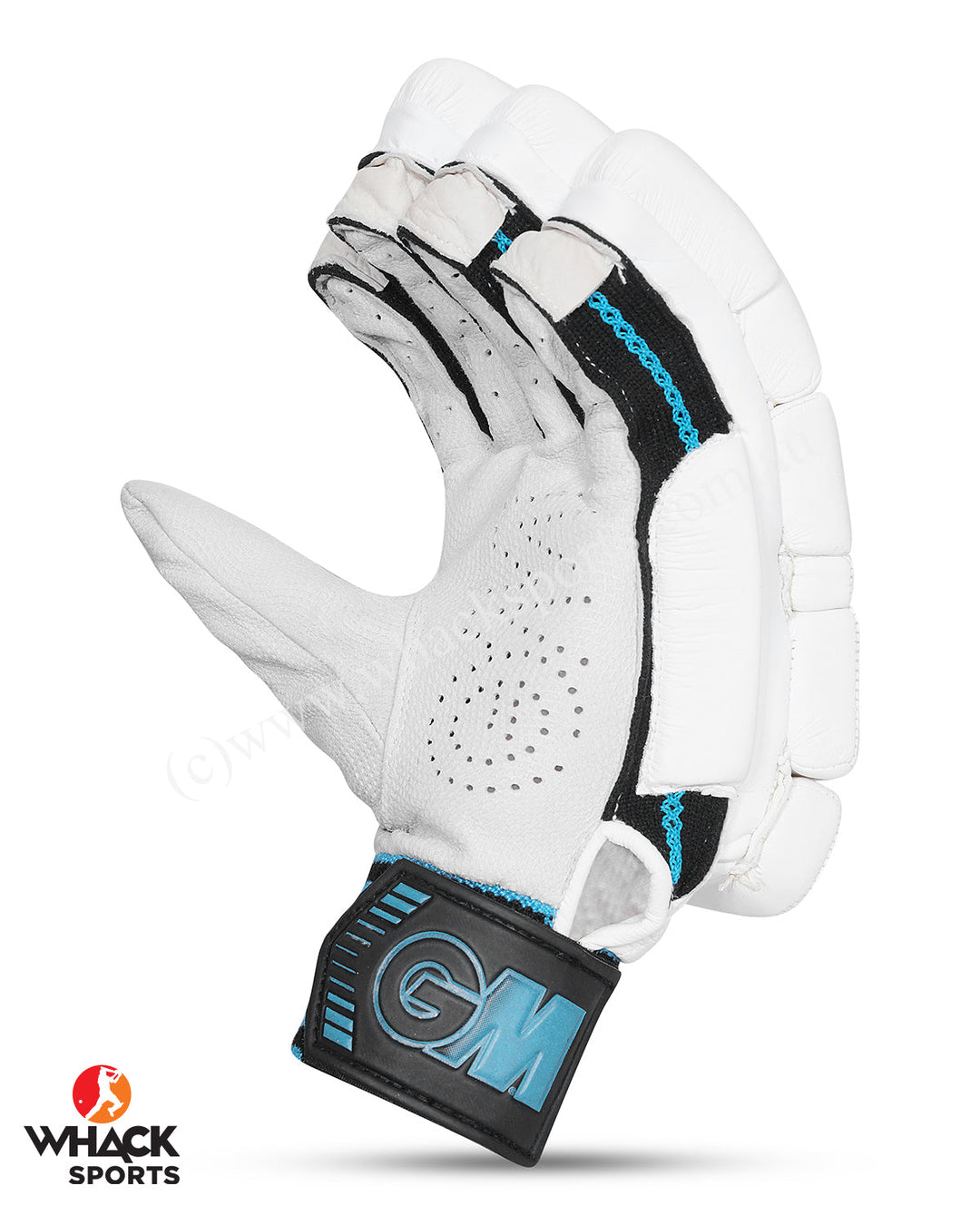 GM DXM Original Cricket Bundle Kit