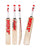 MRF Chase Master Players Grade English Willow Cricket Bat - Youth/Harrow