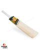 New Balance DC Player Edition English Willow Cricket Bat - SH (2022/23)