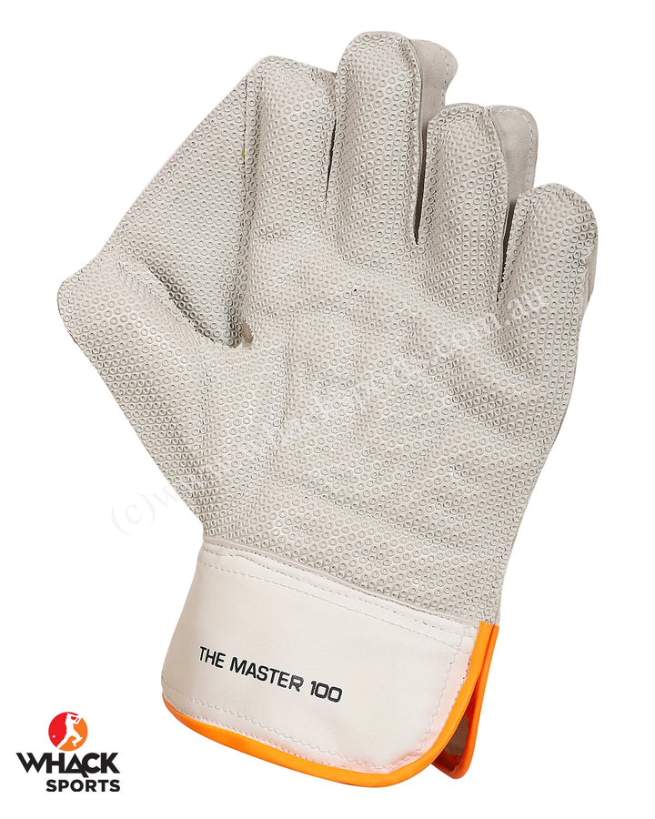 Newbery Master 100 Cricket Keeping Gloves - Boys/Junior
