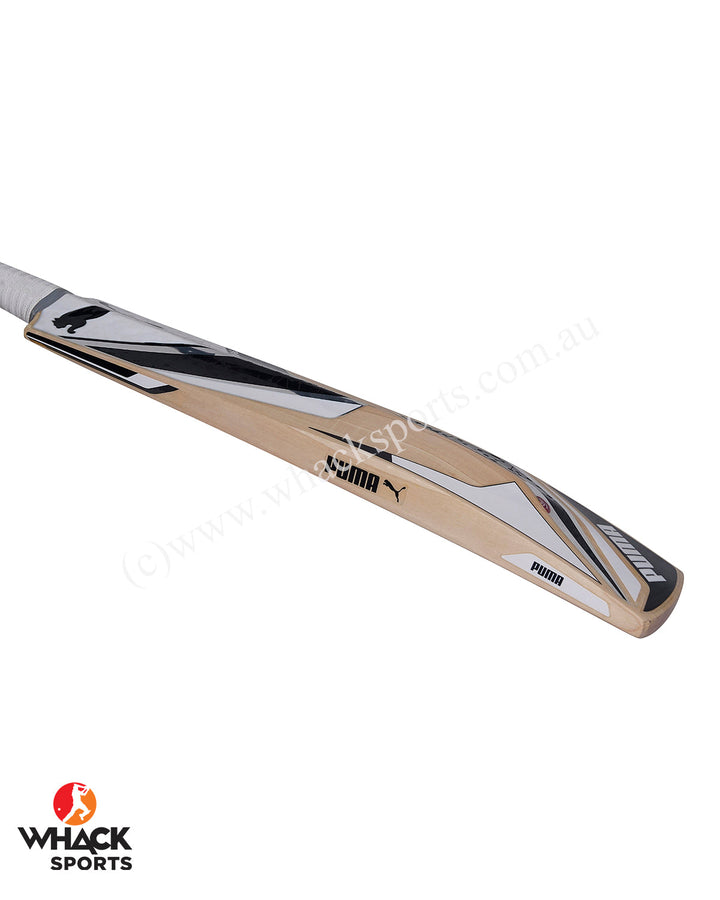 Puma Future 2.1 English Willow Cricket Bat - Puma White - SH
