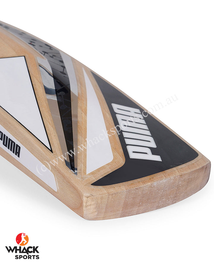 Puma Future 2.1 English Willow Cricket Bat - Puma White - SH