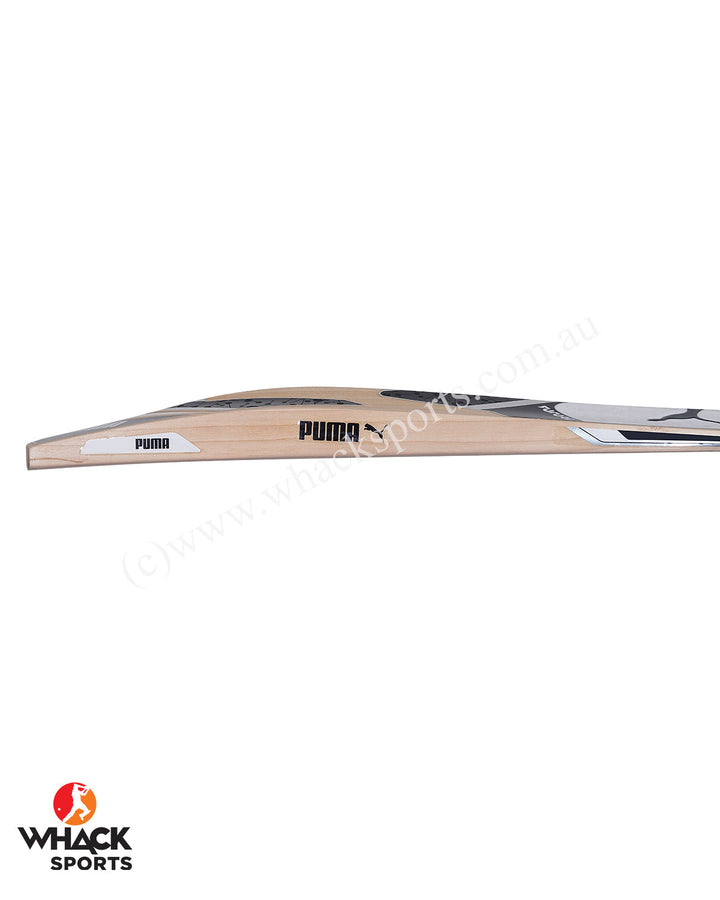 Puma Future 2.1 English Willow Cricket Bat - Puma White - SH