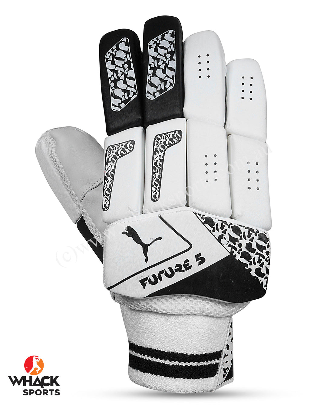 Puma Future 5 Cricket Batting Gloves - Youth