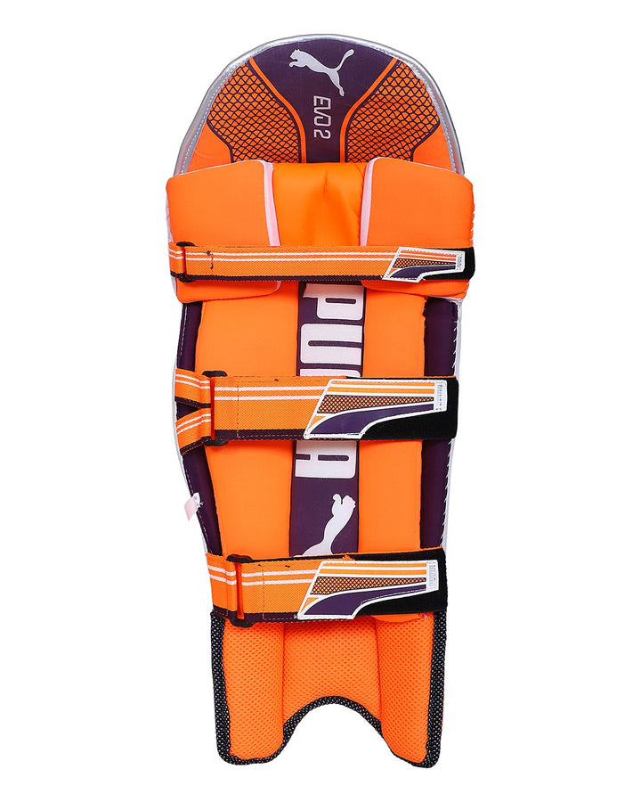Puma Evo 2 Cricket Batting Pad - Boys/Junior