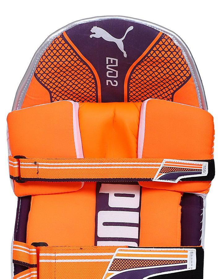Puma Evo 2 Cricket Batting Pad - Boys/Junior