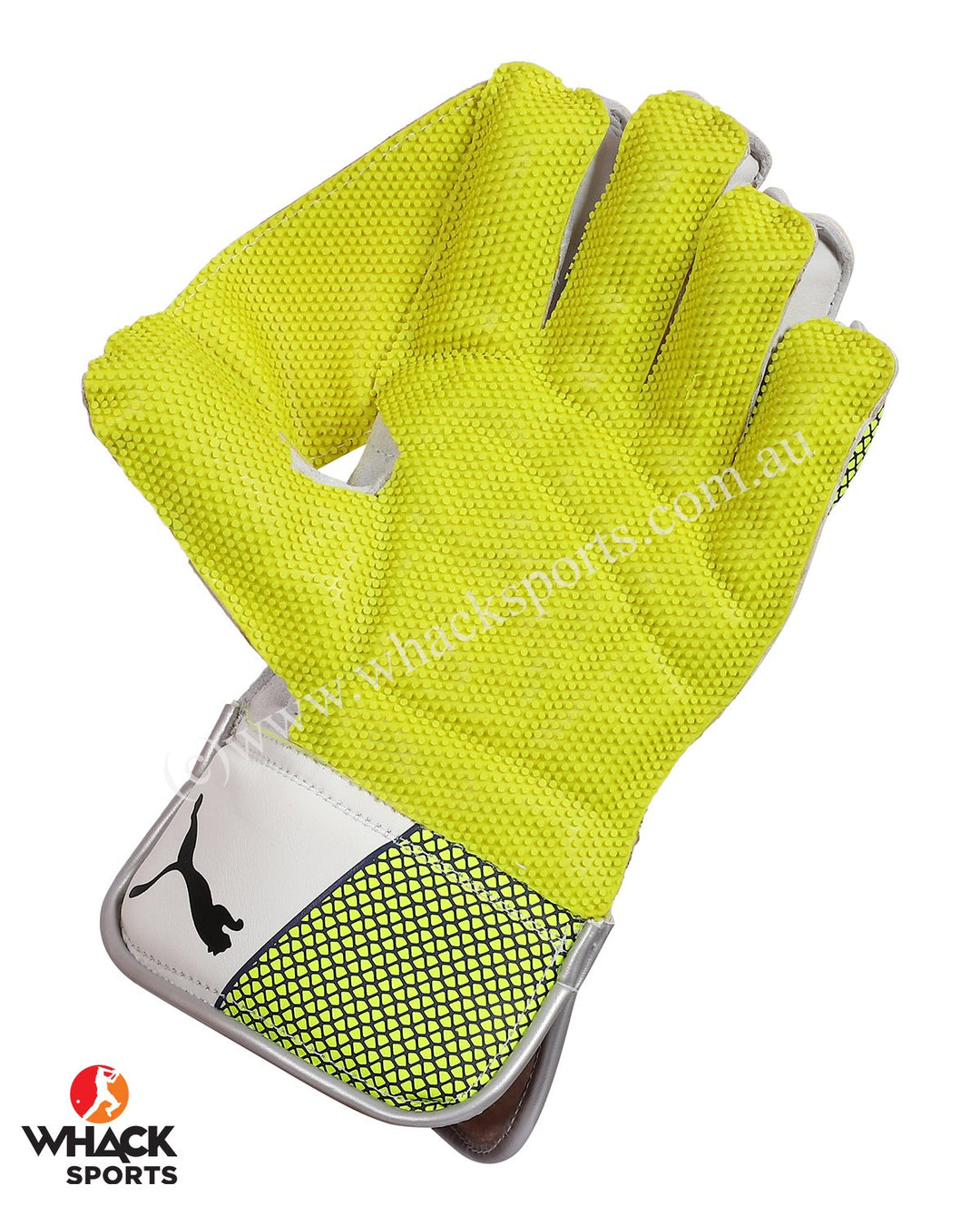 Puma Evo 3 Green Cricket Keeping Gloves - Boys/Junior