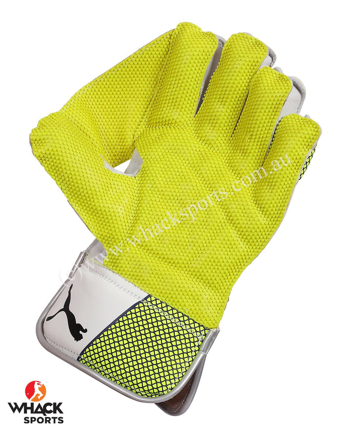 Puma Evo 3 Green Cricket Keeping Gloves - Boys/Junior