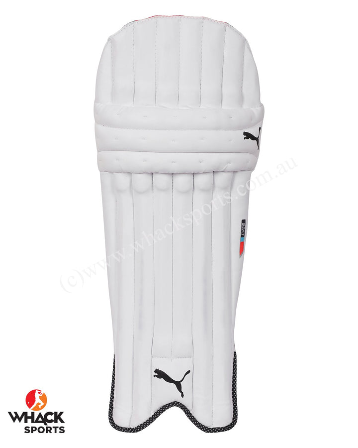 Puma Evo 6 Cricket Batting Pads - Boys/Junior