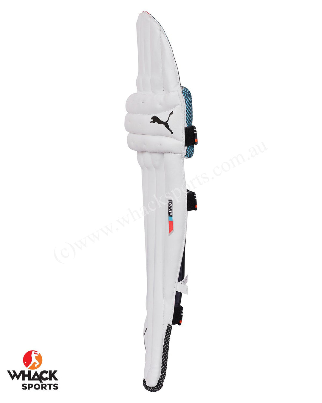 Puma Evo 6 Cricket Batting Pads - Youth