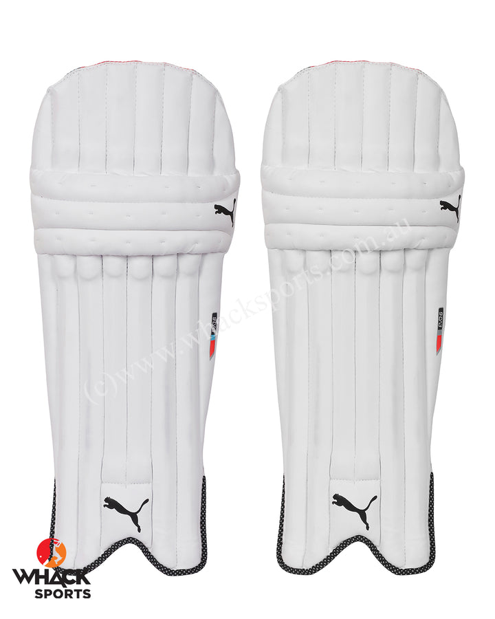 Puma Evo 6 Cricket Batting Pads - Youth