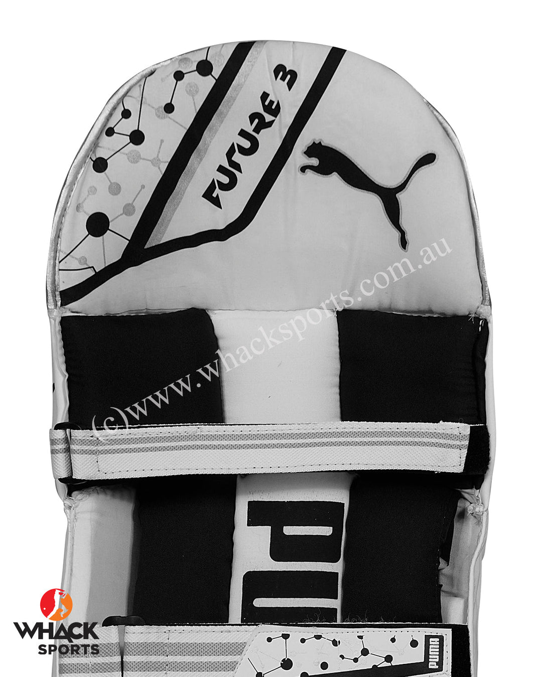 Puma Future 3 Cricket Batting Pads - Adult
