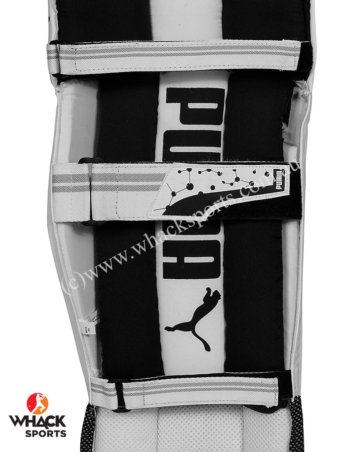 Puma Future 3 Cricket Batting Pads - Adult