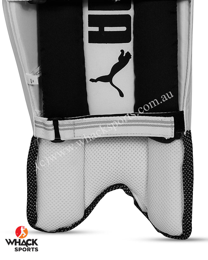 Puma Future 3 Cricket Batting Pads - Adult