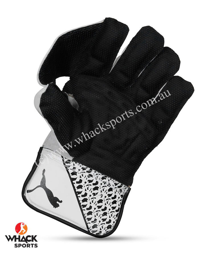 Puma Future 3 Cricket Keeping Gloves - Boys/Junior