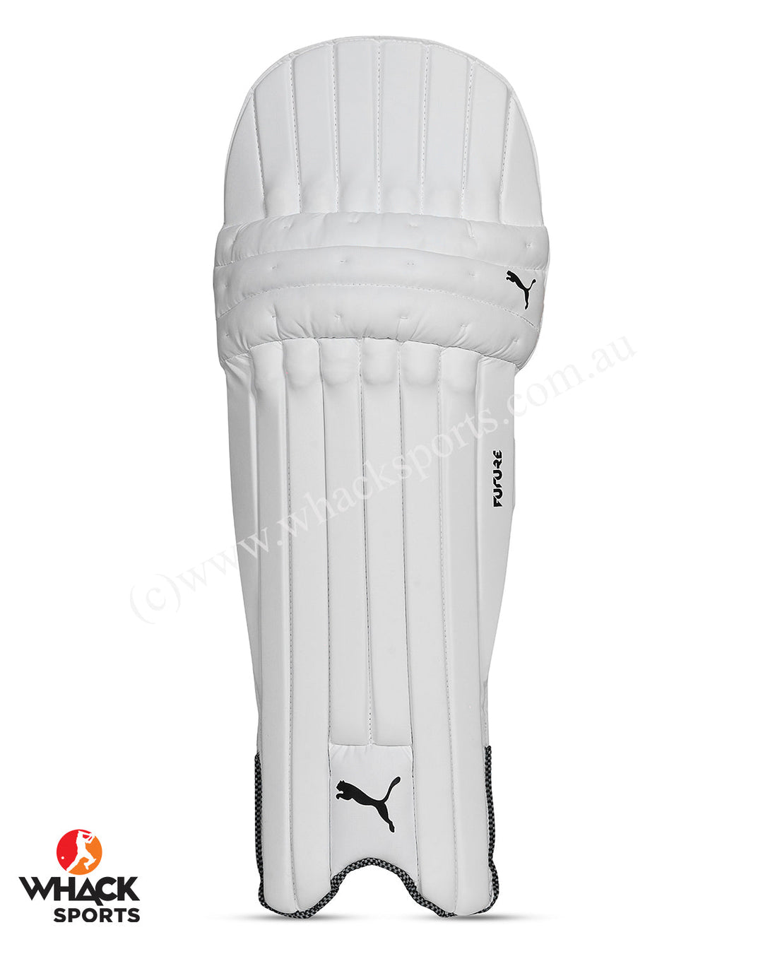 Puma Future 4 Cricket Batting Pads - Youth