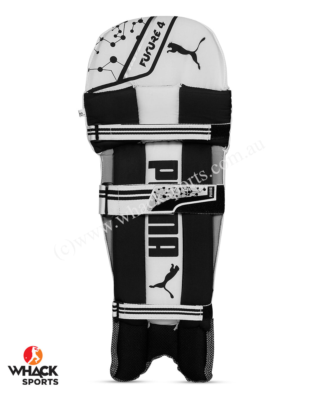 Puma Future 4 Cricket Batting Pads - Youth