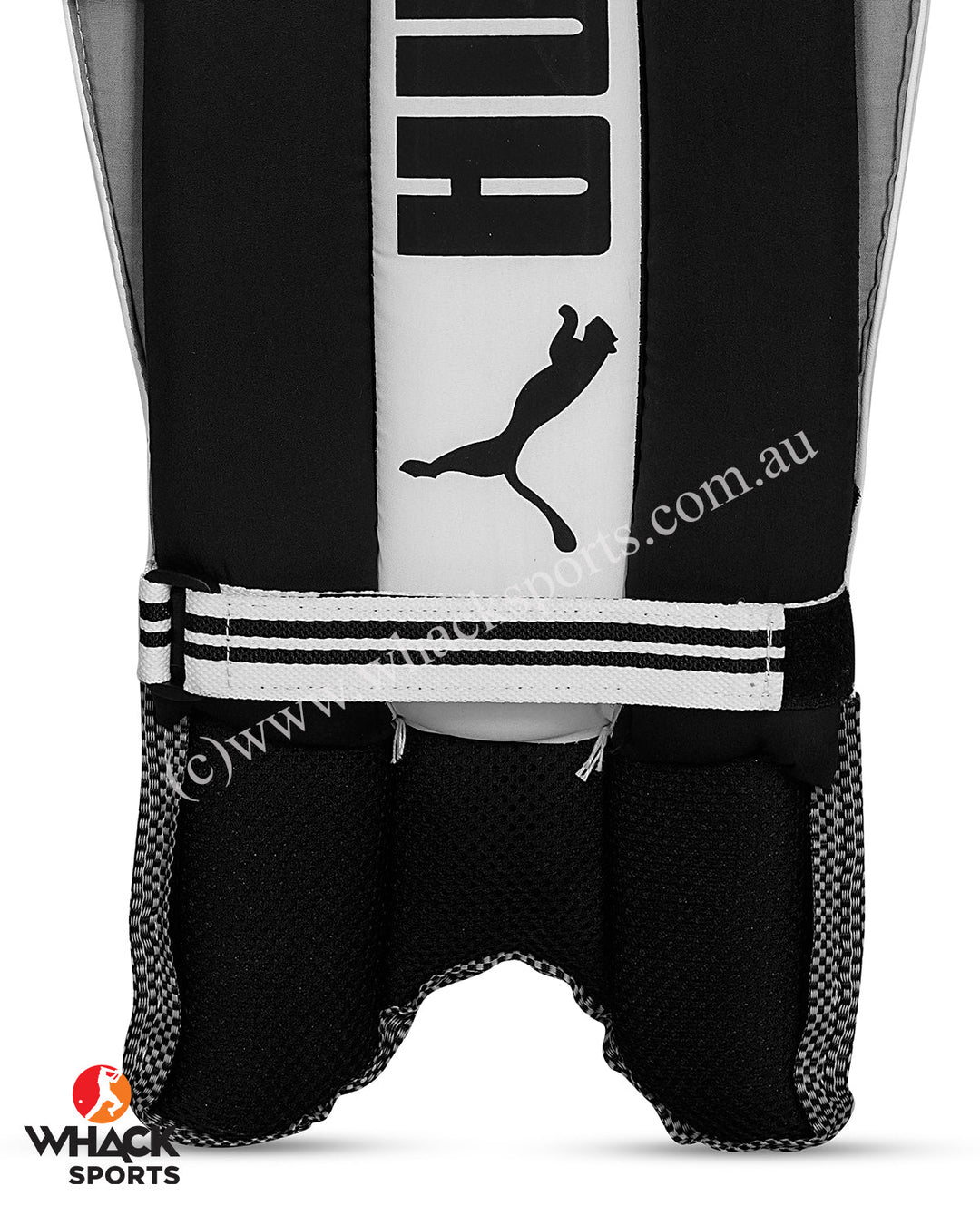Puma Future 4 Cricket Batting Pads - Youth