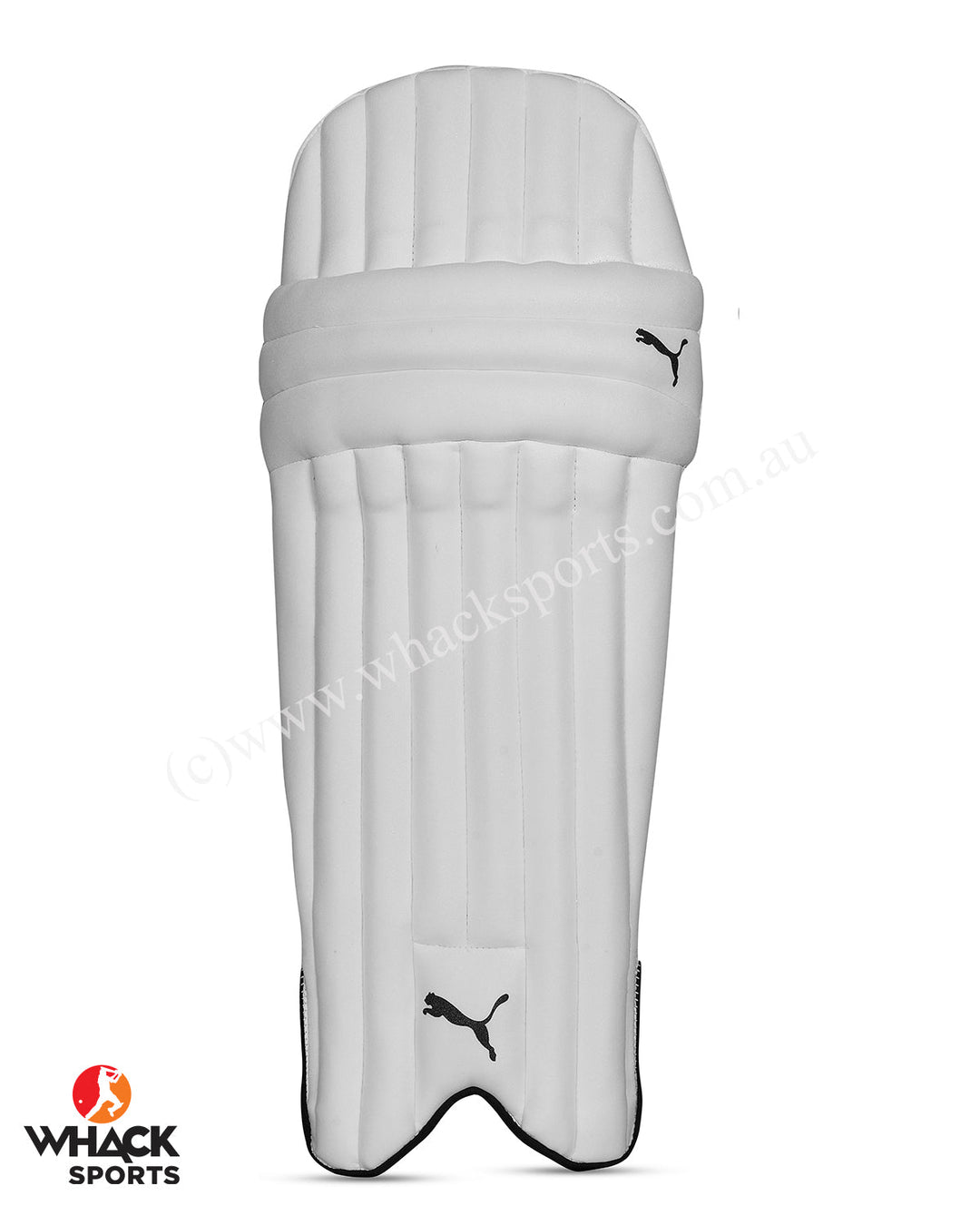 Puma Future 5 Cricket Batting Pads - Junior