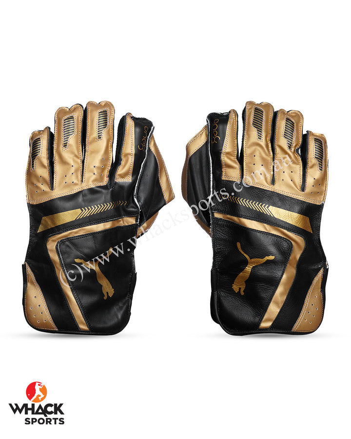 Puma One8 2.5 Cricket Keeping Gloves - Adult