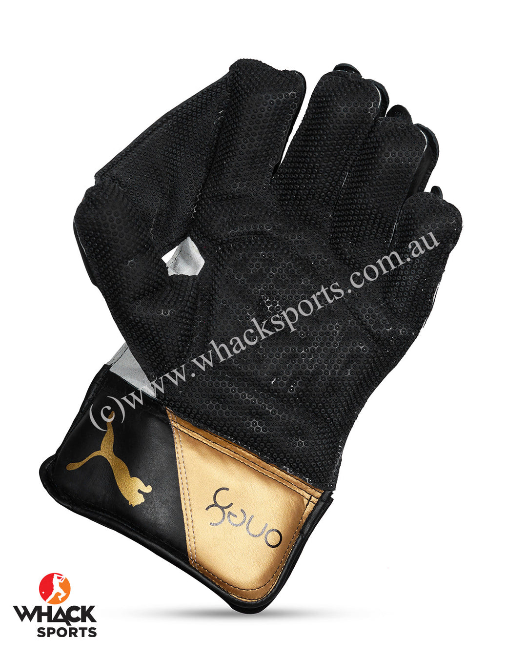 Puma One8 2.5 Cricket Keeping Gloves - Adult