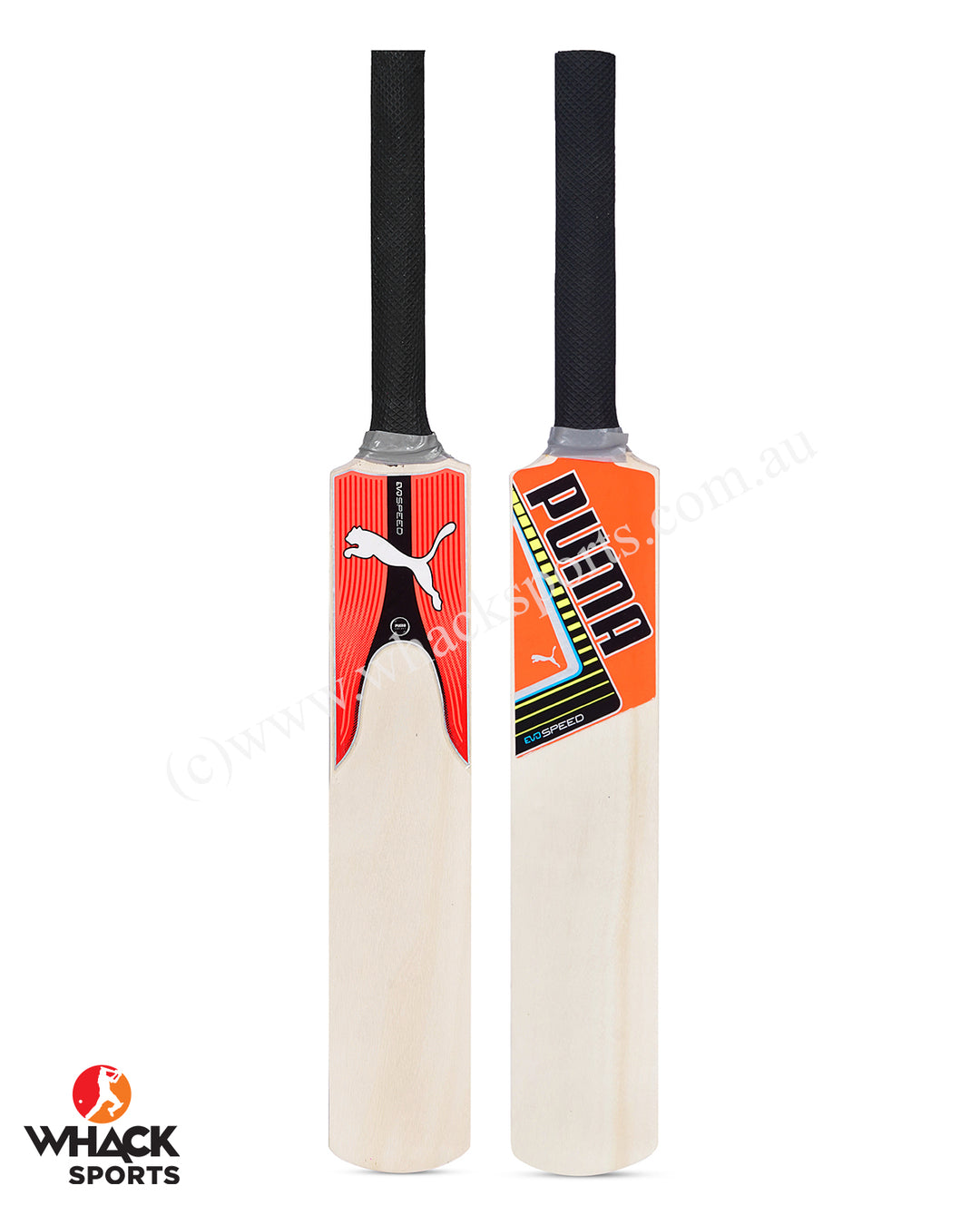 Puma Miniature Bat