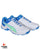Puma 19.2 Cricket Shoes - Steel Spikes - White Nrgy Blue Green