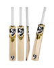 SG HP X1 English Willow Cricket Bat - SH