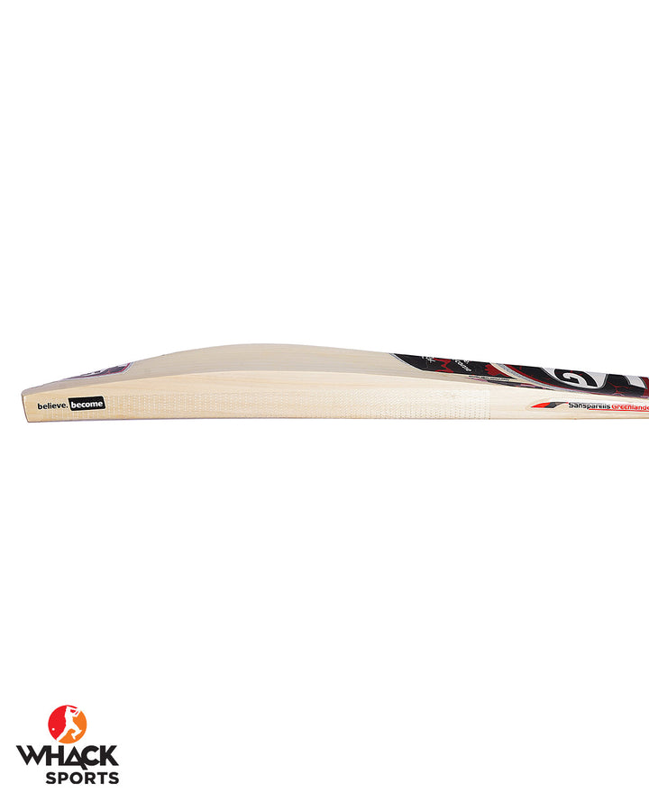 SG RP 6 English Willow Cricket Bat - Small Adult
