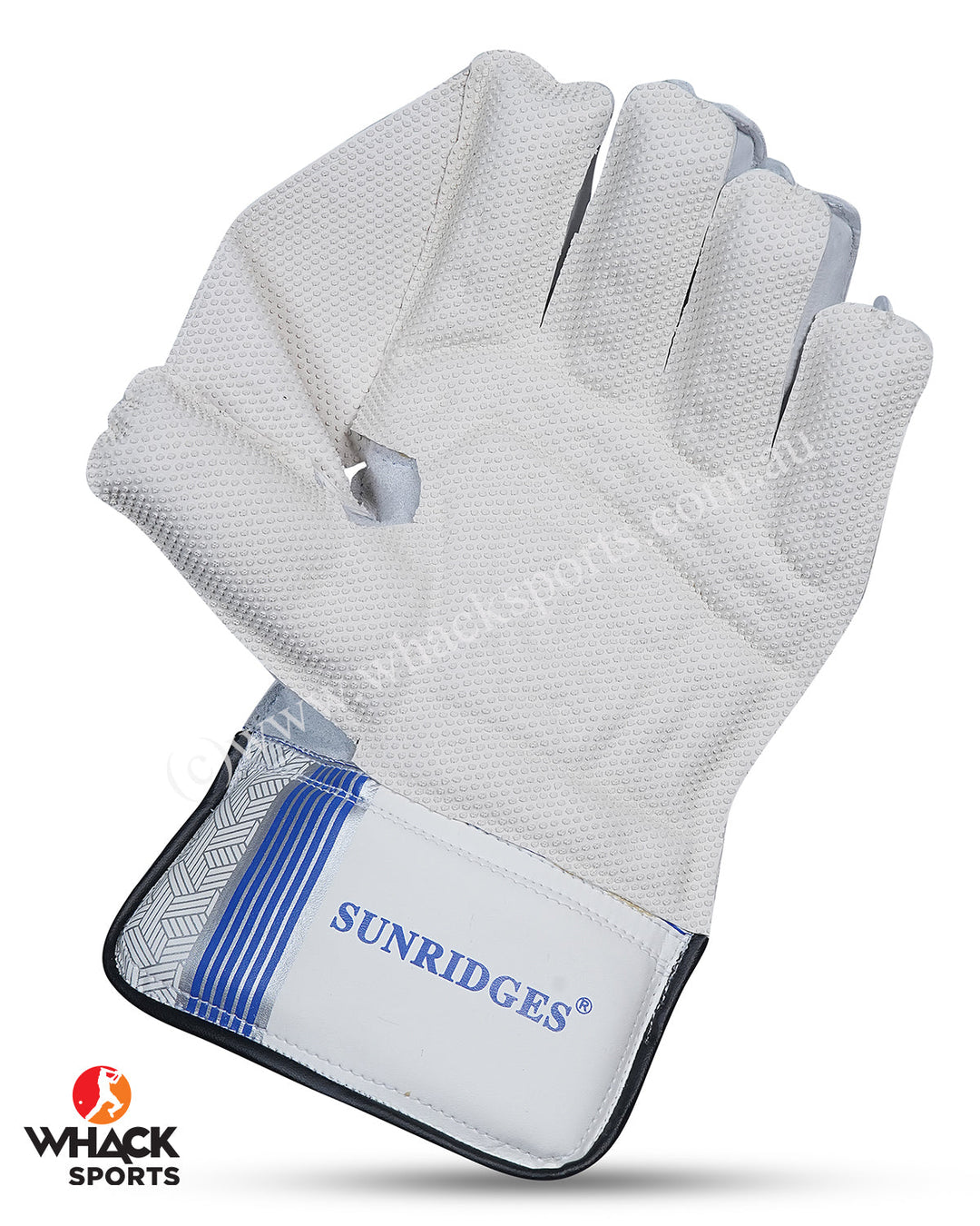 SS Dragon Cricket Keeping Gloves - Youth