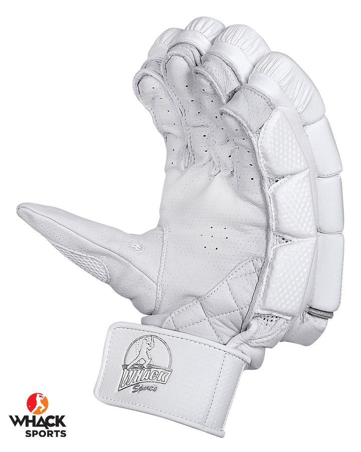 Whack Platinum Cricket Bundle Kit