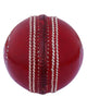 WHACK County Leather Cricket Ball - 2 Piece - 142gm - Red