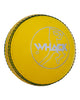 WHACK Indoor Leather Cricket Ball - Yellow