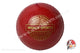 WHACK Reverse Plastic Swing Cricket Ball
