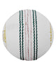 WHACK Special Test English Leather Cricket Ball - 4 piece - 142gm - White