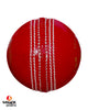 WHACK Test Leather Cricket Ball - 4 piece - 142gm - Red