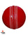 WHACK Test Leather Cricket Ball - 4 piece - 156gm - Red