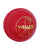 WHACK Cricket Wind Ball/Poly Soft Ball - Multicolored