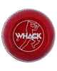 WHACK Aggot/Seam Training 156gm Leather Cricket Ball