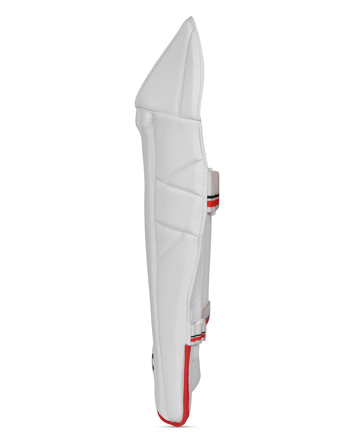 DSC 4.0 Cricket Keeping Pads - Youth