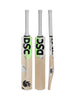 DSC Spliit 100 Kashmir Willow Cricket Bat - SH