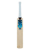 GM Diamond DXM 404 English Willow Cricket Bat - SH