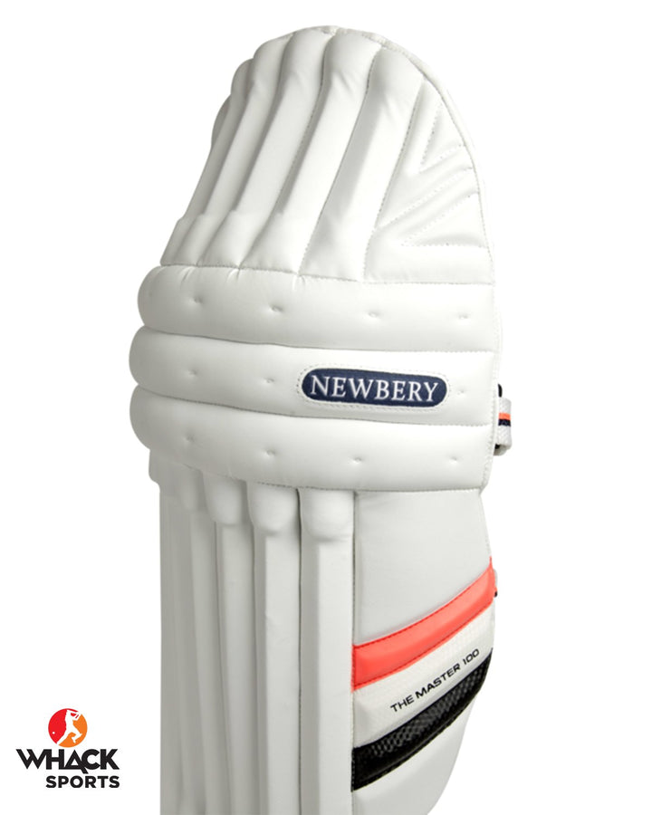 Newbery Master 100 Cricket Batting Pads - Adult