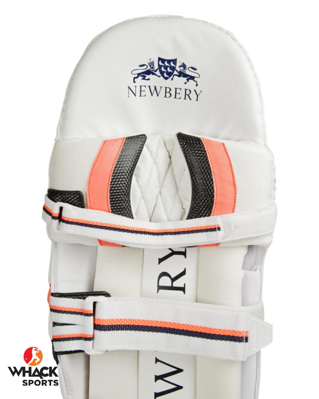 Newbery Master 100 Cricket Batting Pads - Adult
