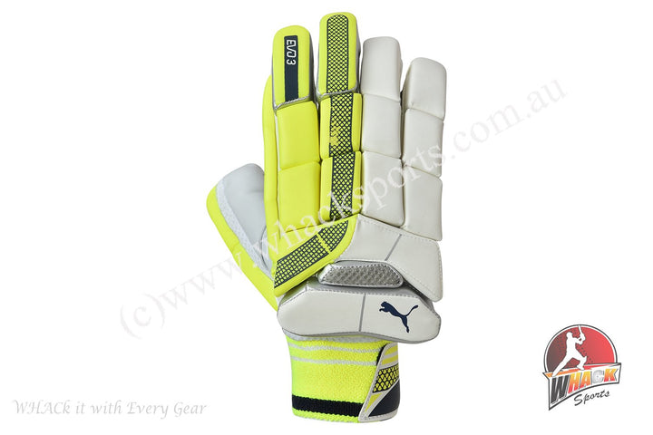 Puma Evo 3 Green Cricket Batting Gloves - Boys/Junior