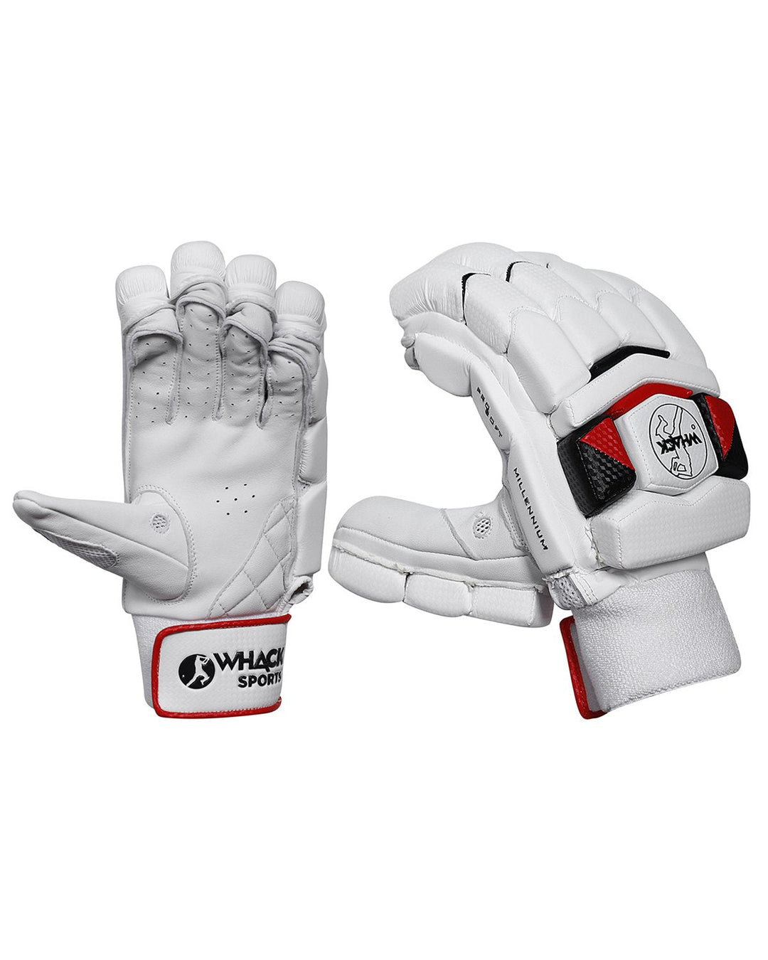 Whack Millennium Cricket Bundle Kit