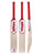 WHACK Millennium English Willow Cricket Bat - Small Adult