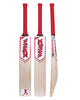 WHACK Millennium English Willow Cricket Bat - Small Adult