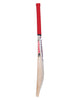 WHACK Millennium English Willow Cricket Bat - Small Adult
